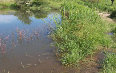 Huejúcar Huejucar Jalisco